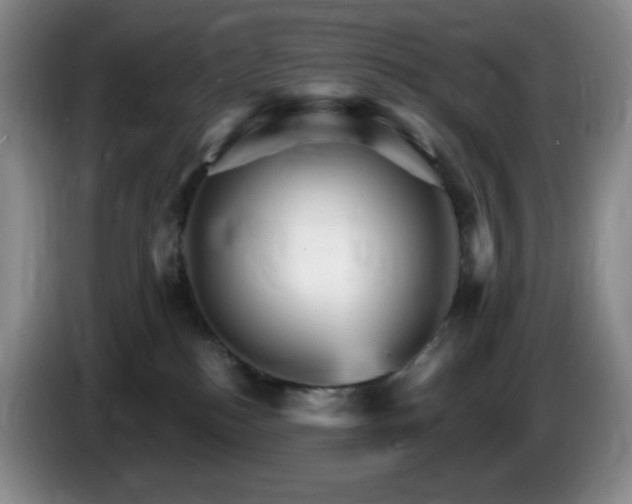 X0000085300184200703091440