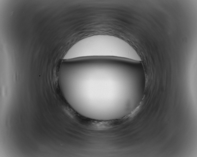 X0000085300186200703091441