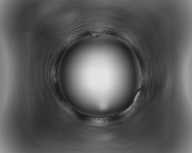 X0000085300187200703091441