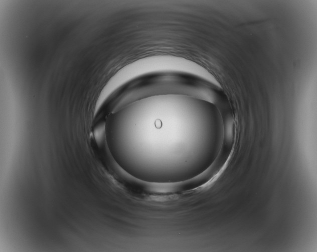 X0000085300190200703091441