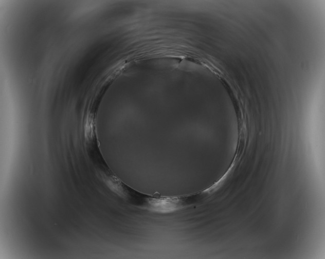 X0000085300191200703091441