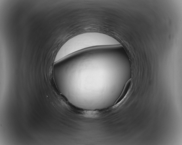 X0000085300192200703091441