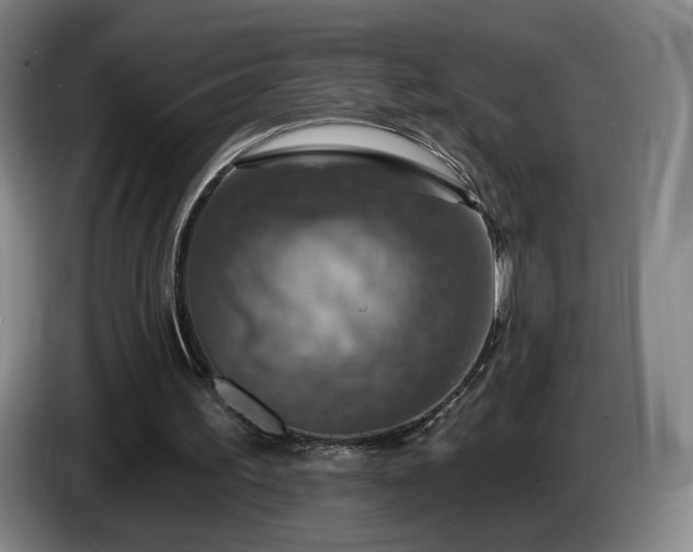 X0000085300195200703091440