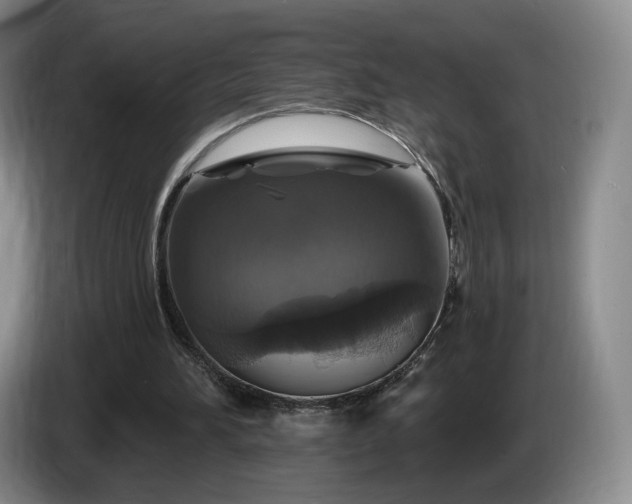 X0000085300196200703091440