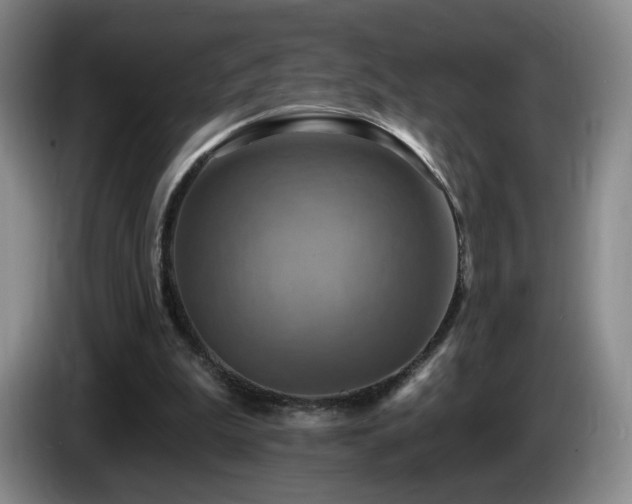 X0000085300199200703091440