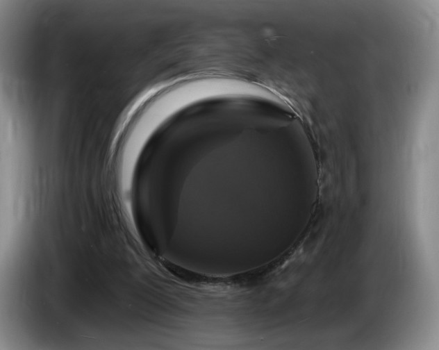 X0000085300200200703091440