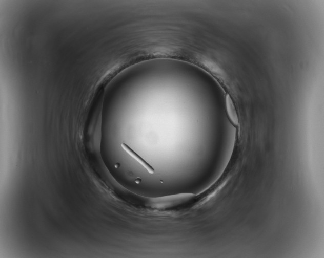 X0000085300201200703091440