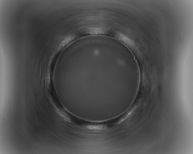 X0000085300202200703091440