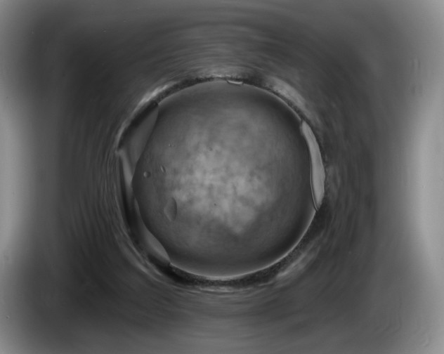 X0000085300203200703091440