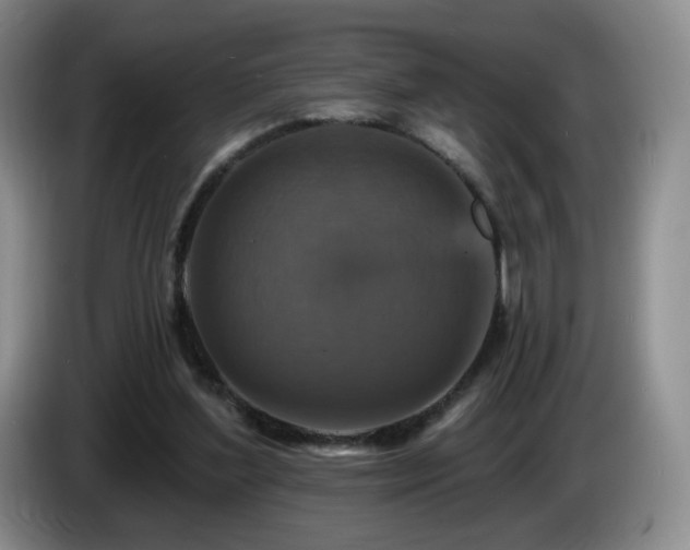 X0000085300204200703091440