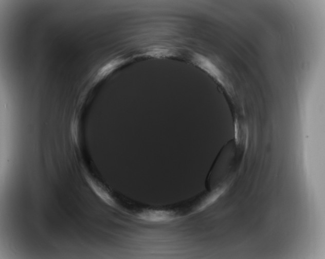 X0000085300205200703091440