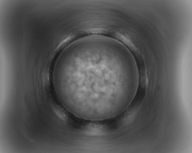 X0000085300207200703091440