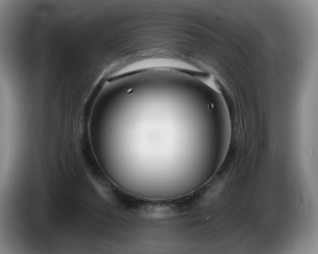 X0000085300208200703091440