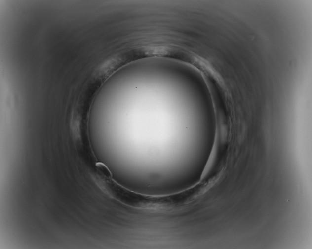 X0000085300209200703091440