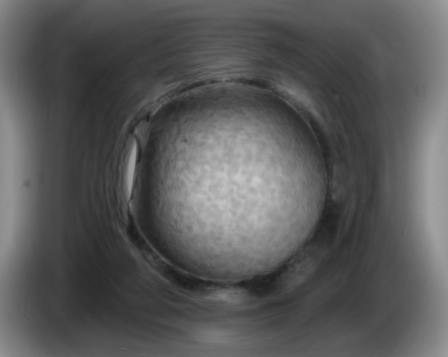 X0000085300210200703091440