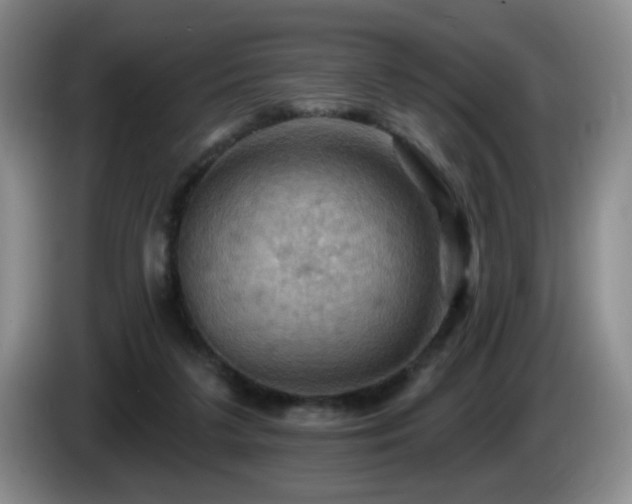 X0000085300211200703091440