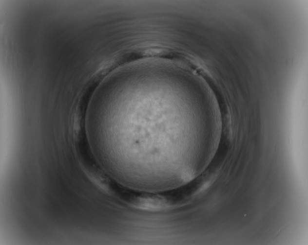 X0000085300215200703091440