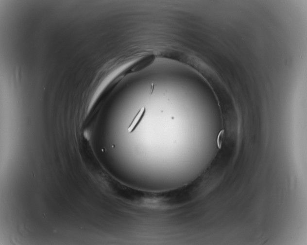 X0000085300216200703091439