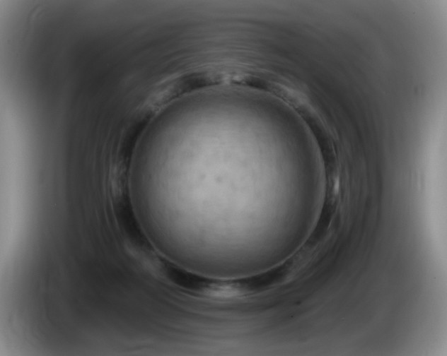 X0000085300218200703091439