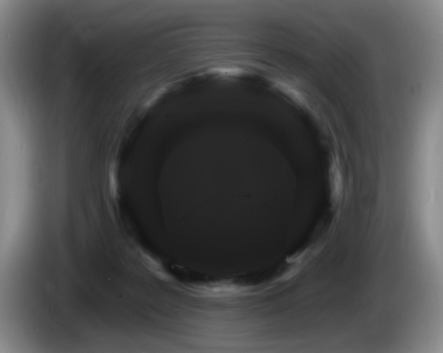 X0000085300219200703091439