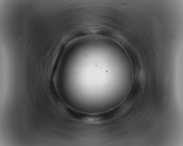 X0000085300220200703091439