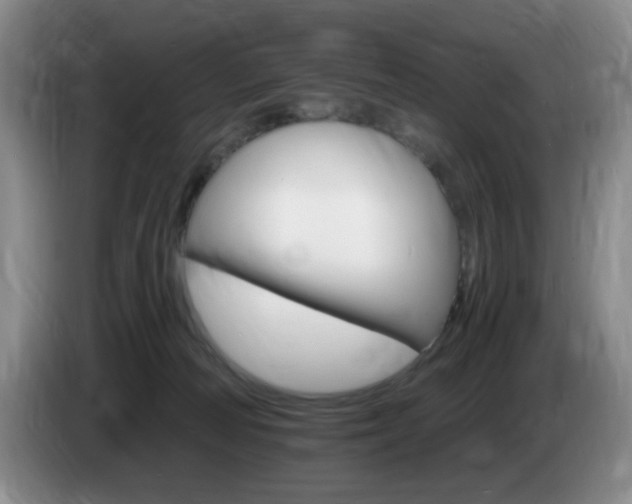 X0000085300226200703091439