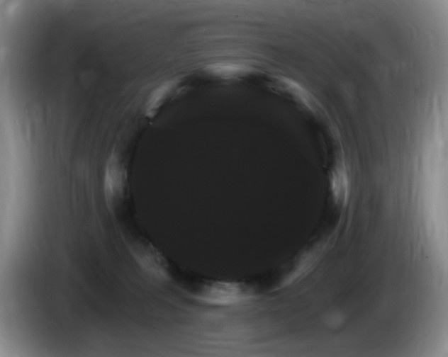 X0000085300227200703091439