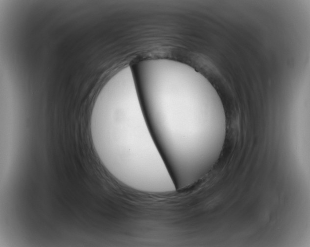 X0000085300228200703091439