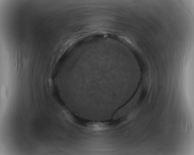 X0000085300229200703091439