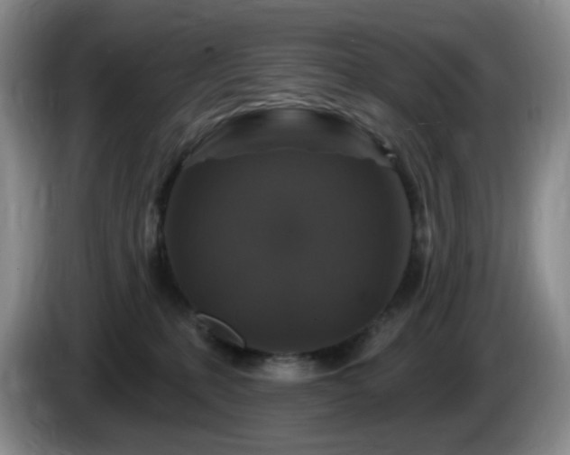 X0000085300231200703091439