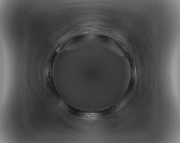 X0000085300233200703091439