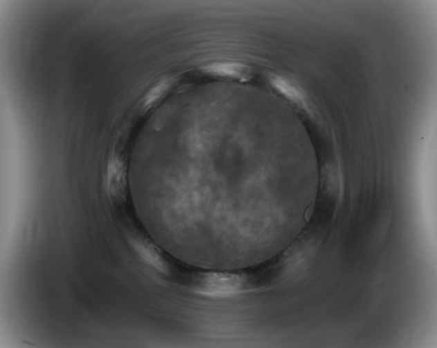 X0000085300234200703091439