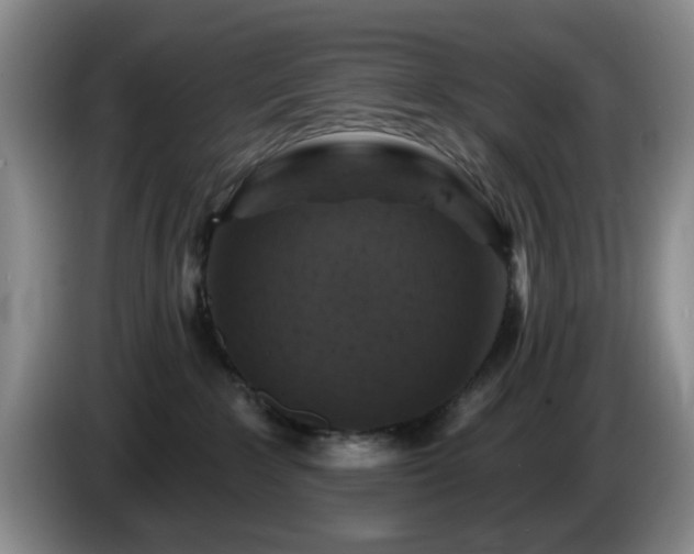 X0000085300235200703091439