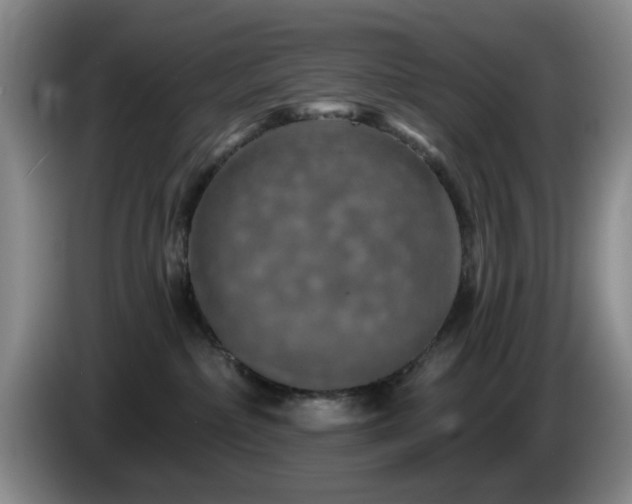 X0000085300236200703091439