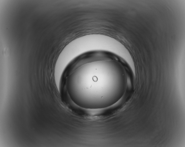 X0000085300237200703091439