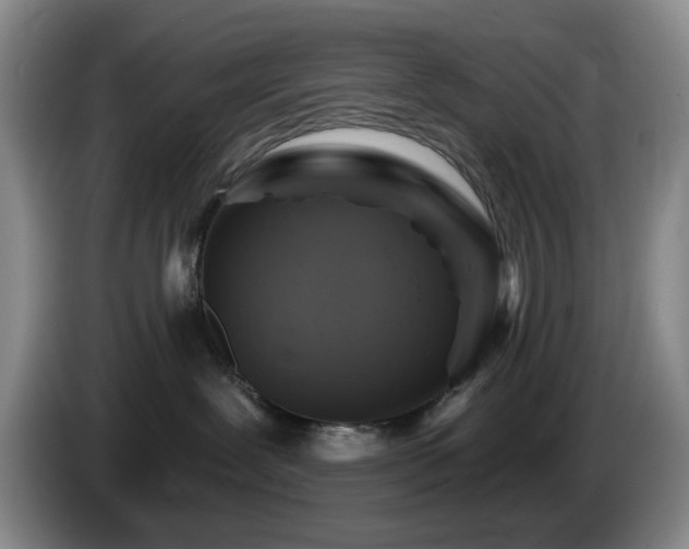 X0000085300239200703091439