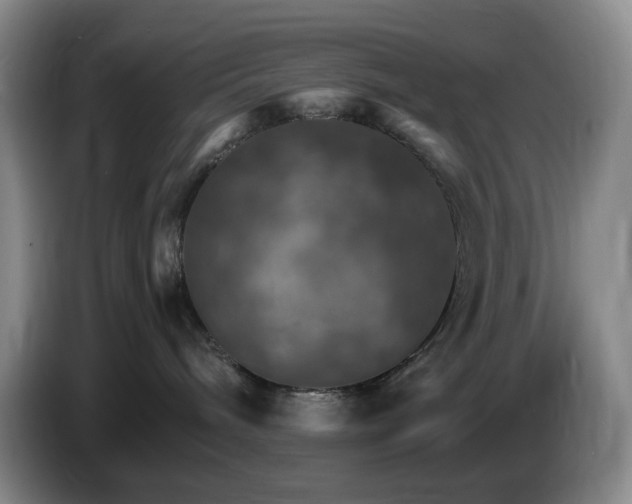 X0000085300240200703091439