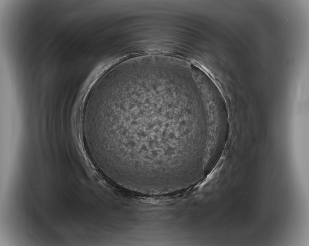 X0000085300241200703091439