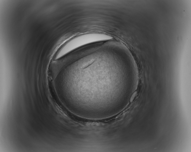 X0000085300242200703091439