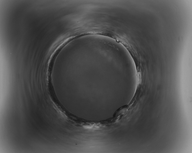 X0000085300243200703091439