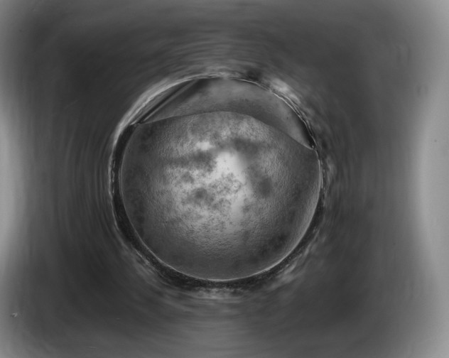 X0000085300244200703091439