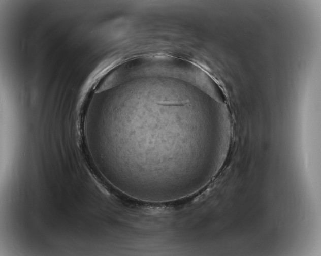 X0000085300245200703091439