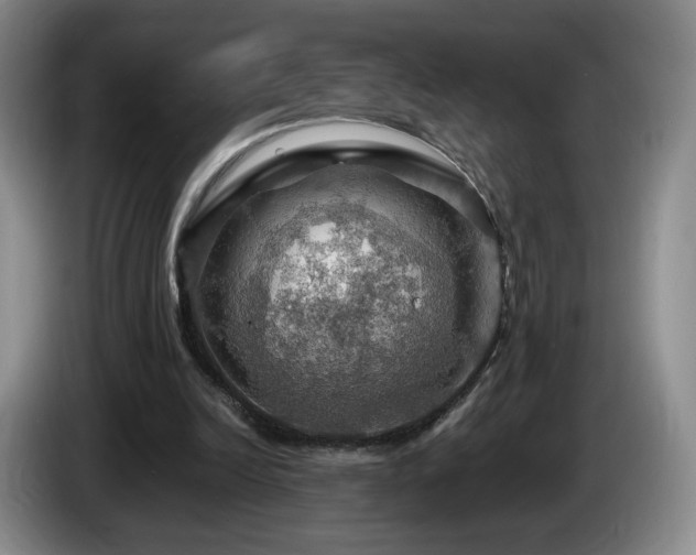 X0000085300246200703091439