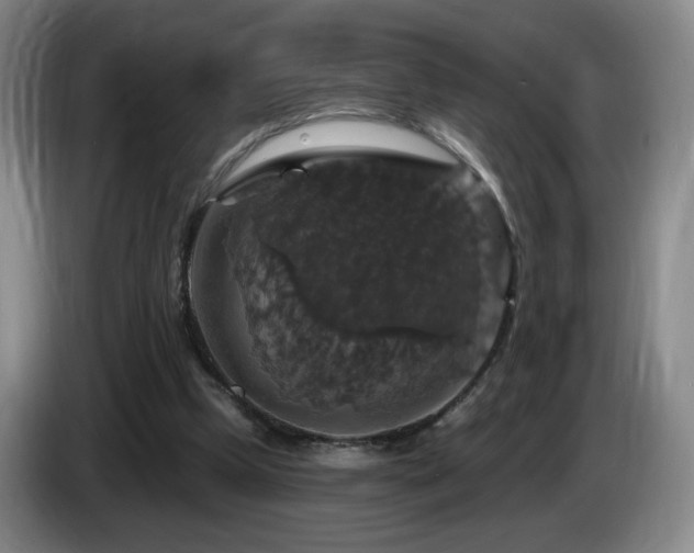 X0000085300249200703091439