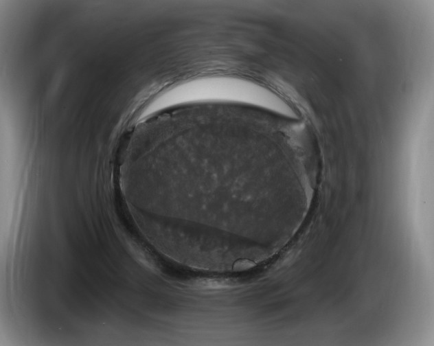 X0000085300250200703091439