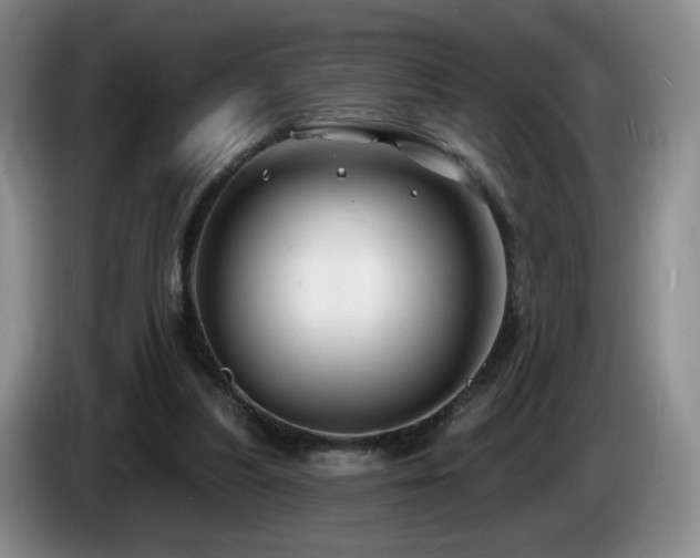 X0000085300251200703091439