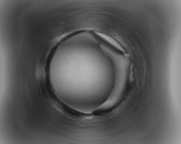 X0000085300252200703091439