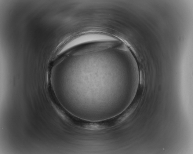 X0000085300253200703091439