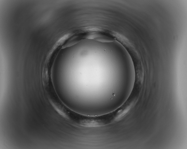 X0000085300254200703091439