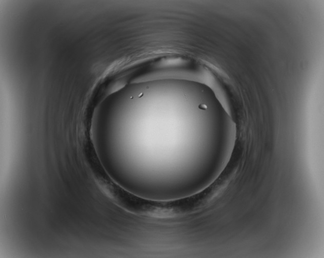 X0000085300256200703091439